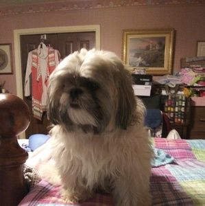 Meet your Posher, Loretta